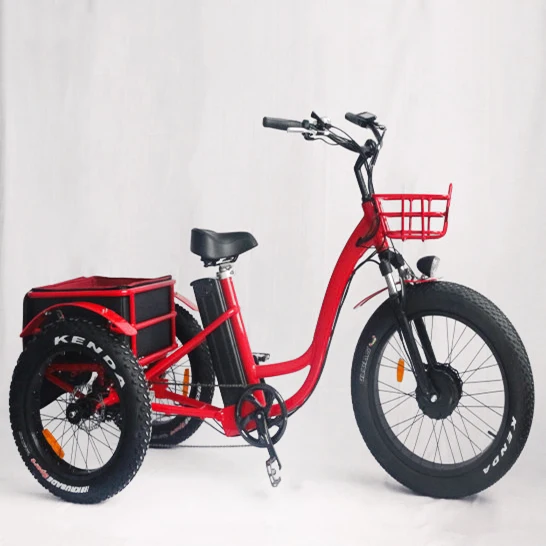 

cheap adult electric tricycle with great aftersale service, Customized