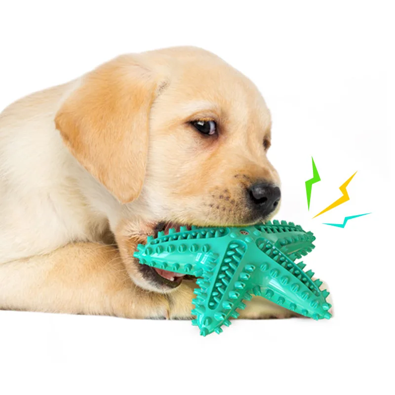 

Pet toy Amazon hot sale dog sound toy starfish dog toothbrush, Lake blue,yellow/green