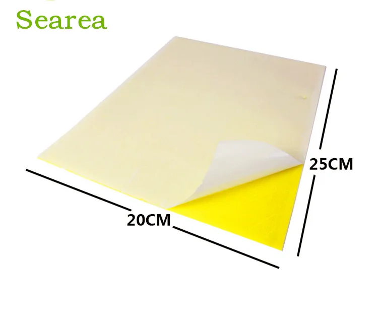 

Dual-Sided Yellow Sticky Traps for Flying Plant Insects Like Whiteflies, Fungus Gnats, Aphids, Leafminers and More (Twis, Yellow and blue