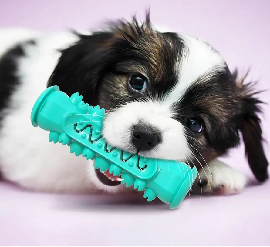 amazon hot sales pet supplies explosion dog toy molar stick bite