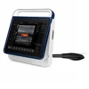 Hospital And Clinic Use veterinary color doppler ultrasound For cat Pregnancy Test