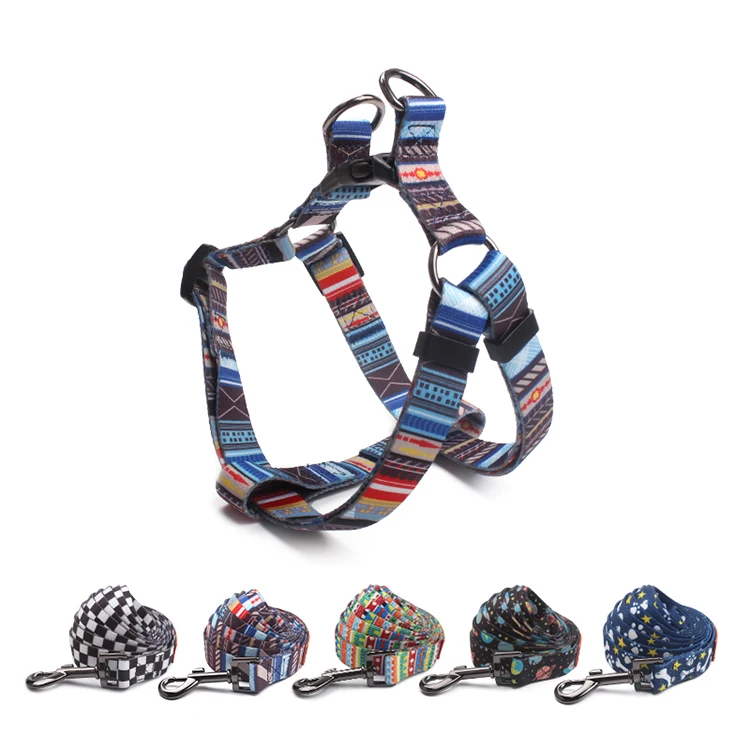 

Wholesale Colourful Pet Product Custom Logo Adjustable Puppy Harness and Lead, Picture shows