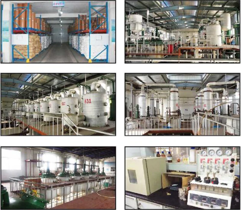 factory picture 2.jpg