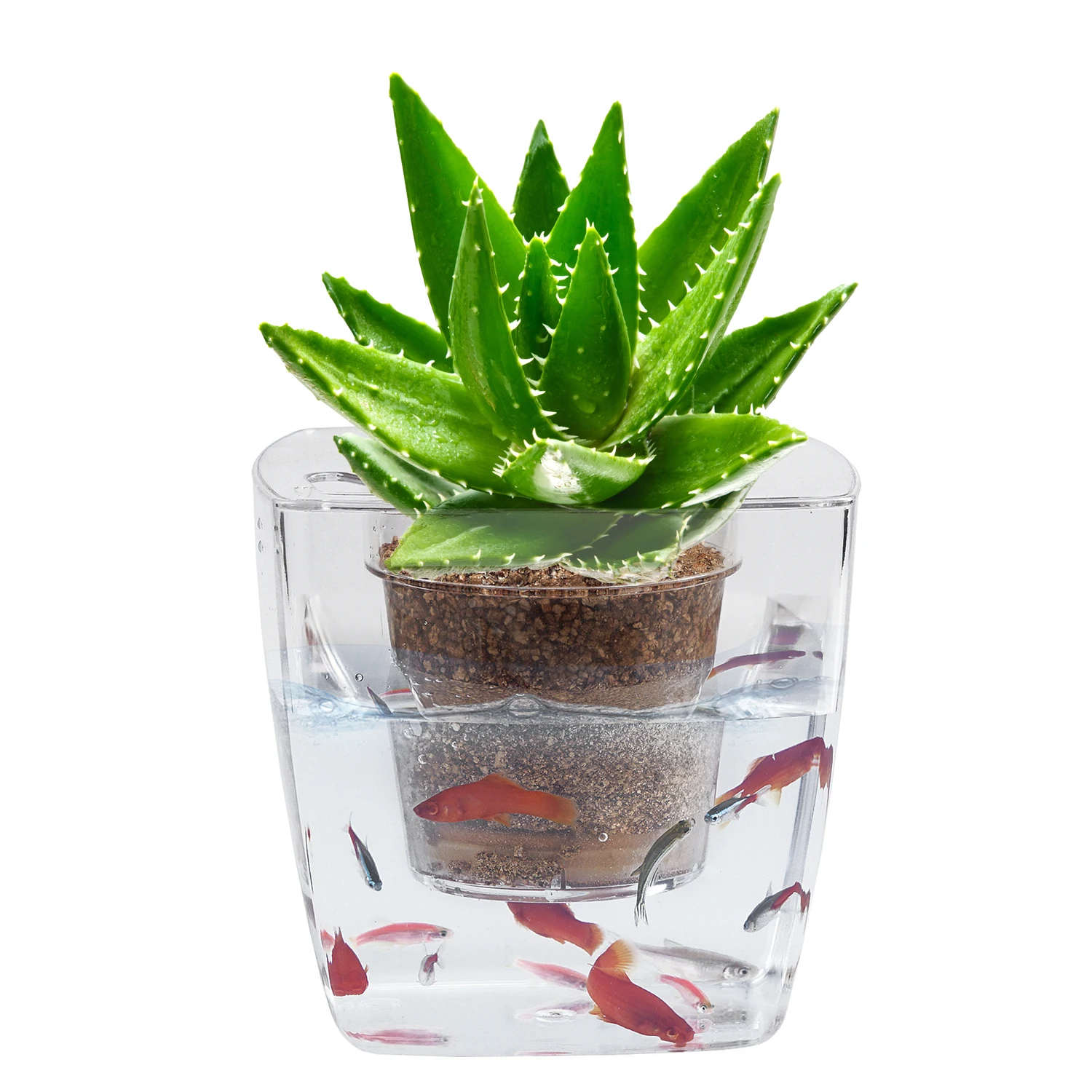 

Newest Hydroponic Indoor Mini White Ceramic Flower Pots Environmental Fish Tank, Transparent