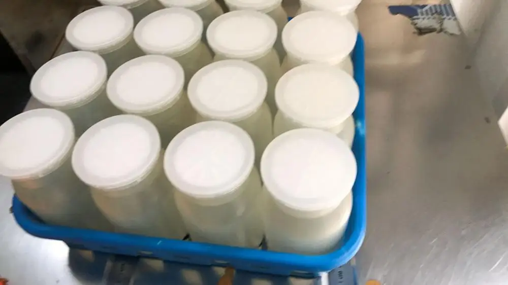 
Cheap enoki grow plastic mushroom cultivation bottle for bottle filing line with filter lids <strong>Cheap enoki grow plastic mushroom cultivation bottle for bottle filing line with filter lids</strong>