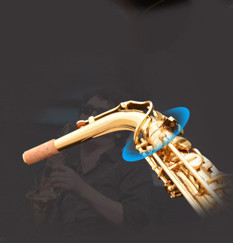 8728862540_589685214.jpg