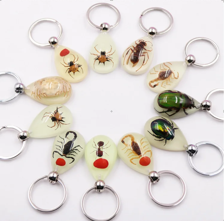 

2024 cool jewelry Real insect keychain glow keychain reisin jewelry for men
