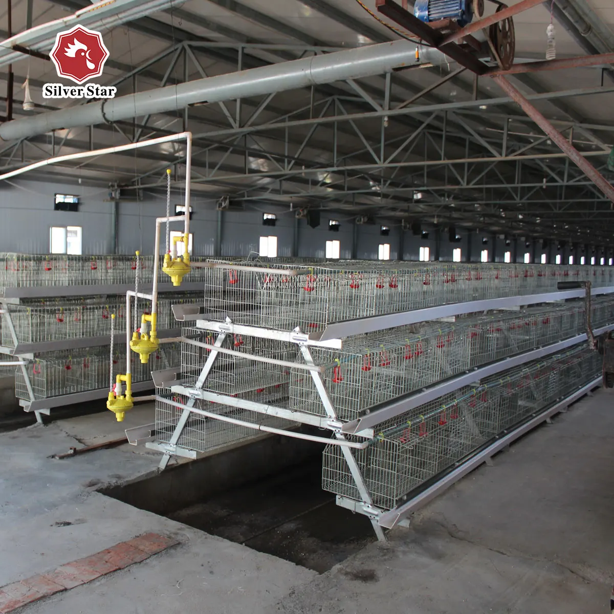 Professional Chicken Feeding Equipment Automatic Chicken Manure Scraper