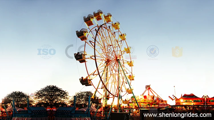 30mferris-wheel-case3