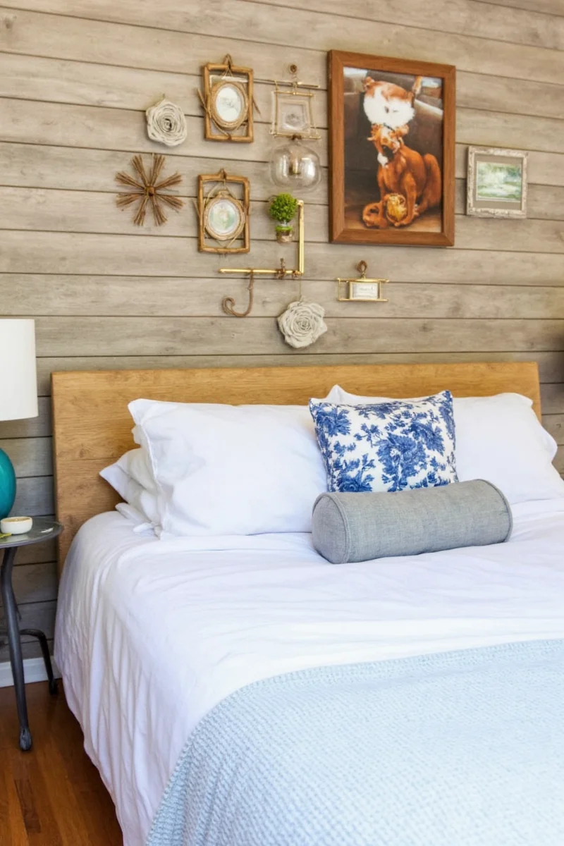 pawsitively perfect how to create a pet integrated backyard shed bedroom with style and practical tips