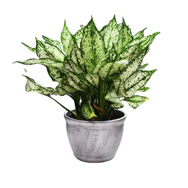 

Deepbang Home garden indoor living room wholesale silver plastic plant pots round planter pots