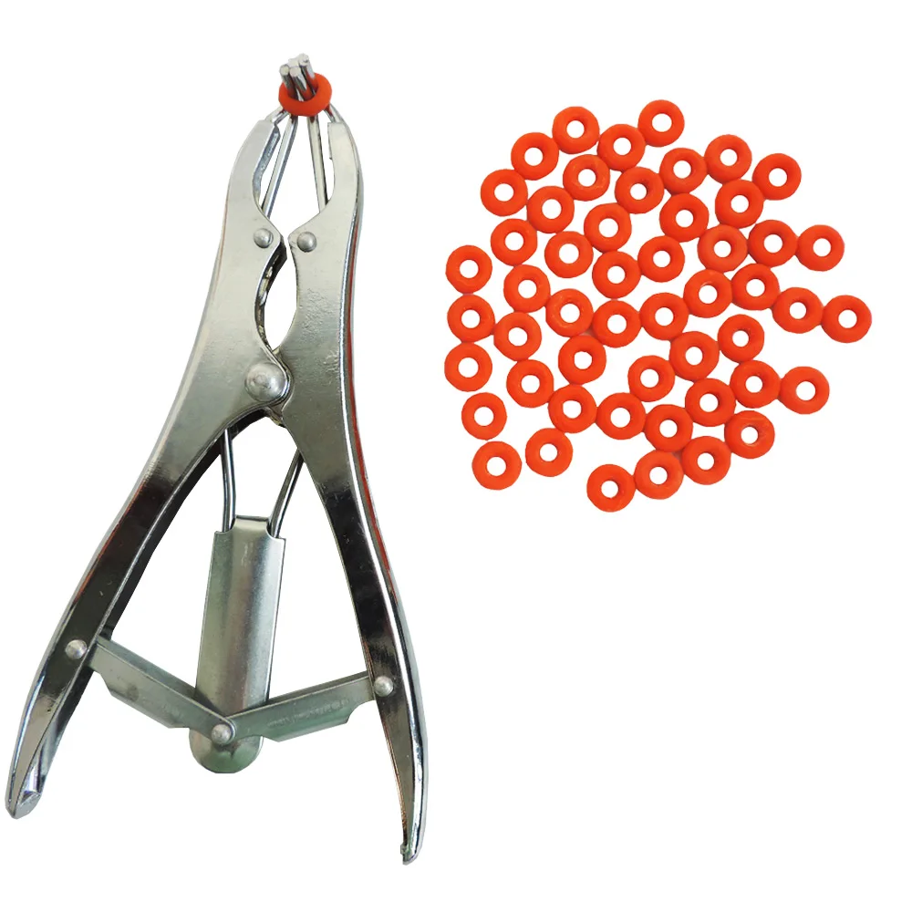 

Pig Sheep Goat Cow Cattle Dog Castration Forceps Cutting Tail Castration Burdizzo Clamps Burdizzo Forceps Pliers