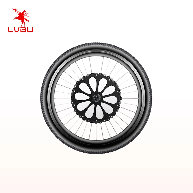

LVBU top quality 36v 250w 350w e bike conversion hub motor wheel electric cycle motor kit