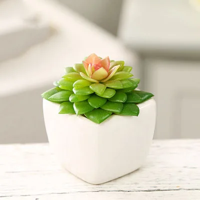 

Bromeliad Green Accessories Small Ornamental Plante Artificielle Small Pots For Plants Succulent Flowers Artificial Home Plant, Customizable