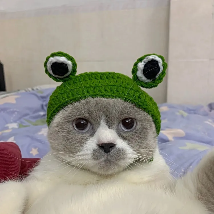 

Cartoon Frog Hand Crochet Knited Green Acrylic Knitted Pet Cat Dog Hat