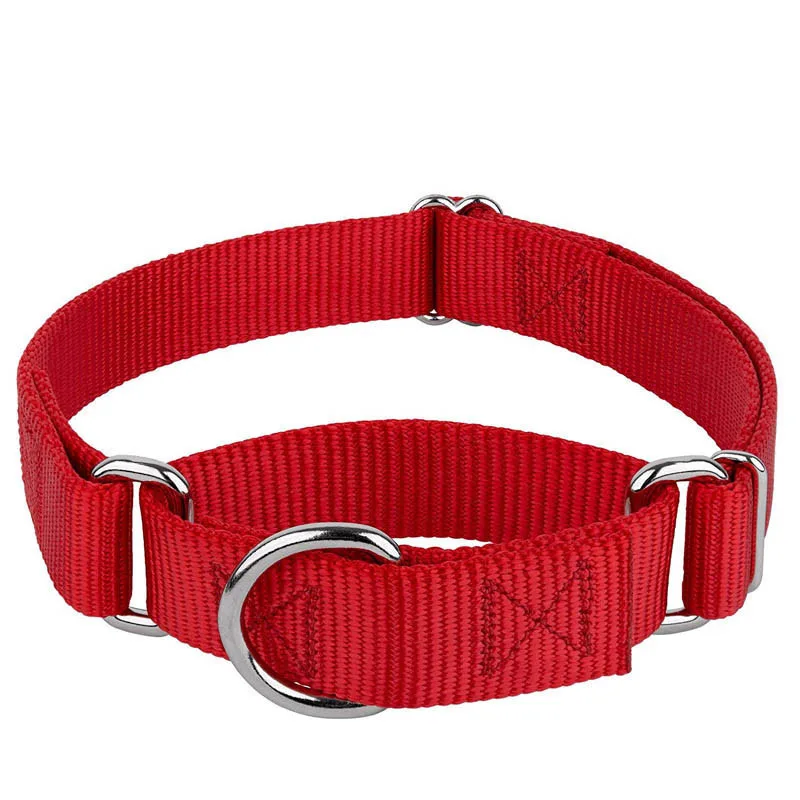 

neoprene plain nylon ddog collars in bulk black wide adjustable dog martingale collar, Blue/green/black/ red