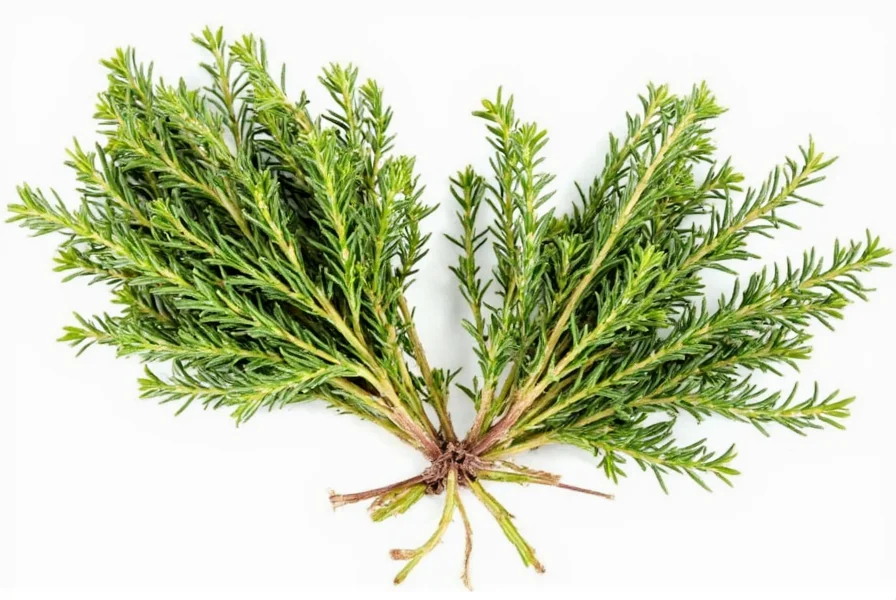 Cooking with Thyme - Mixing Dry into Marinade