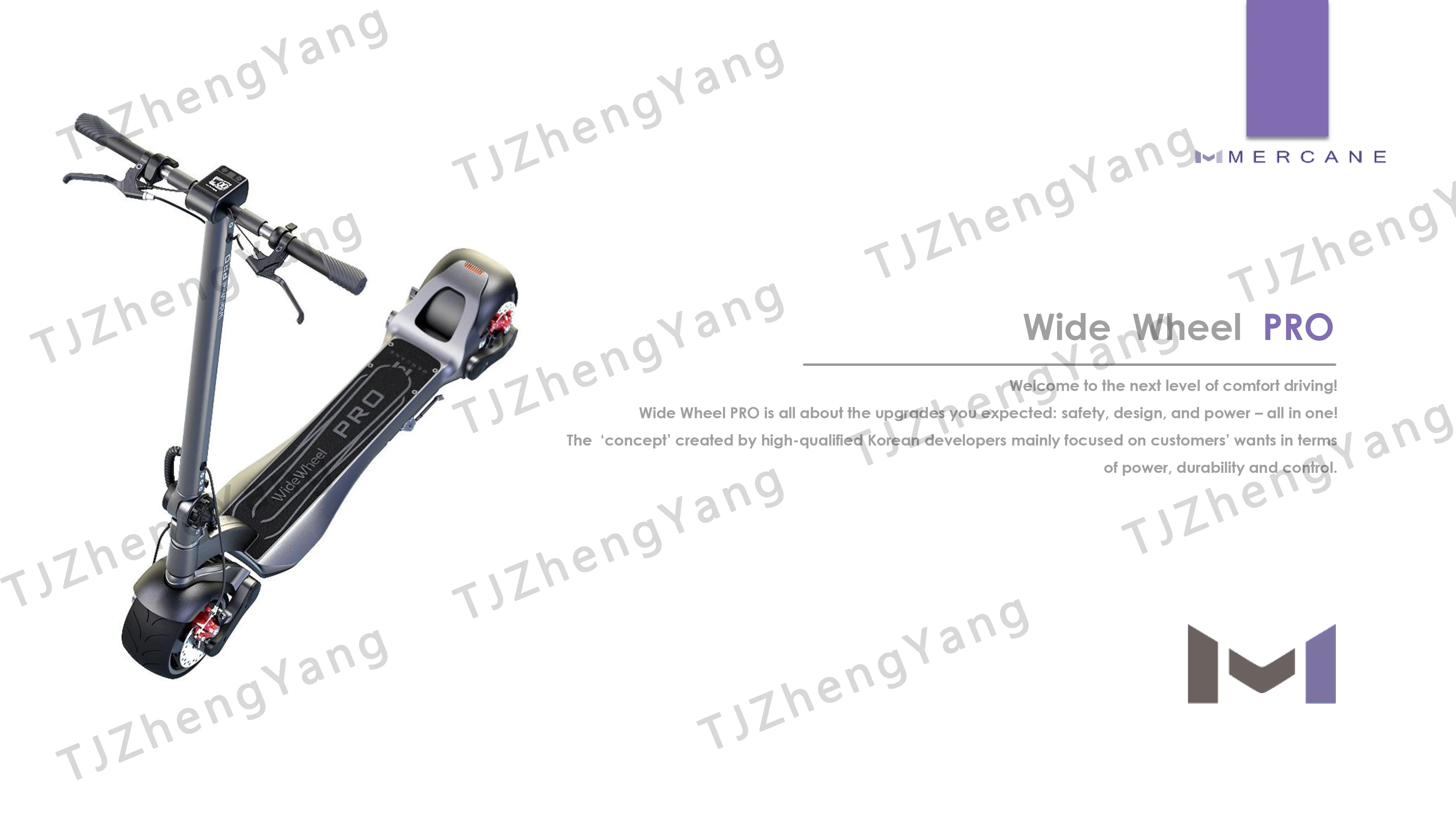 WW PRO Intro_ file-1.jpg