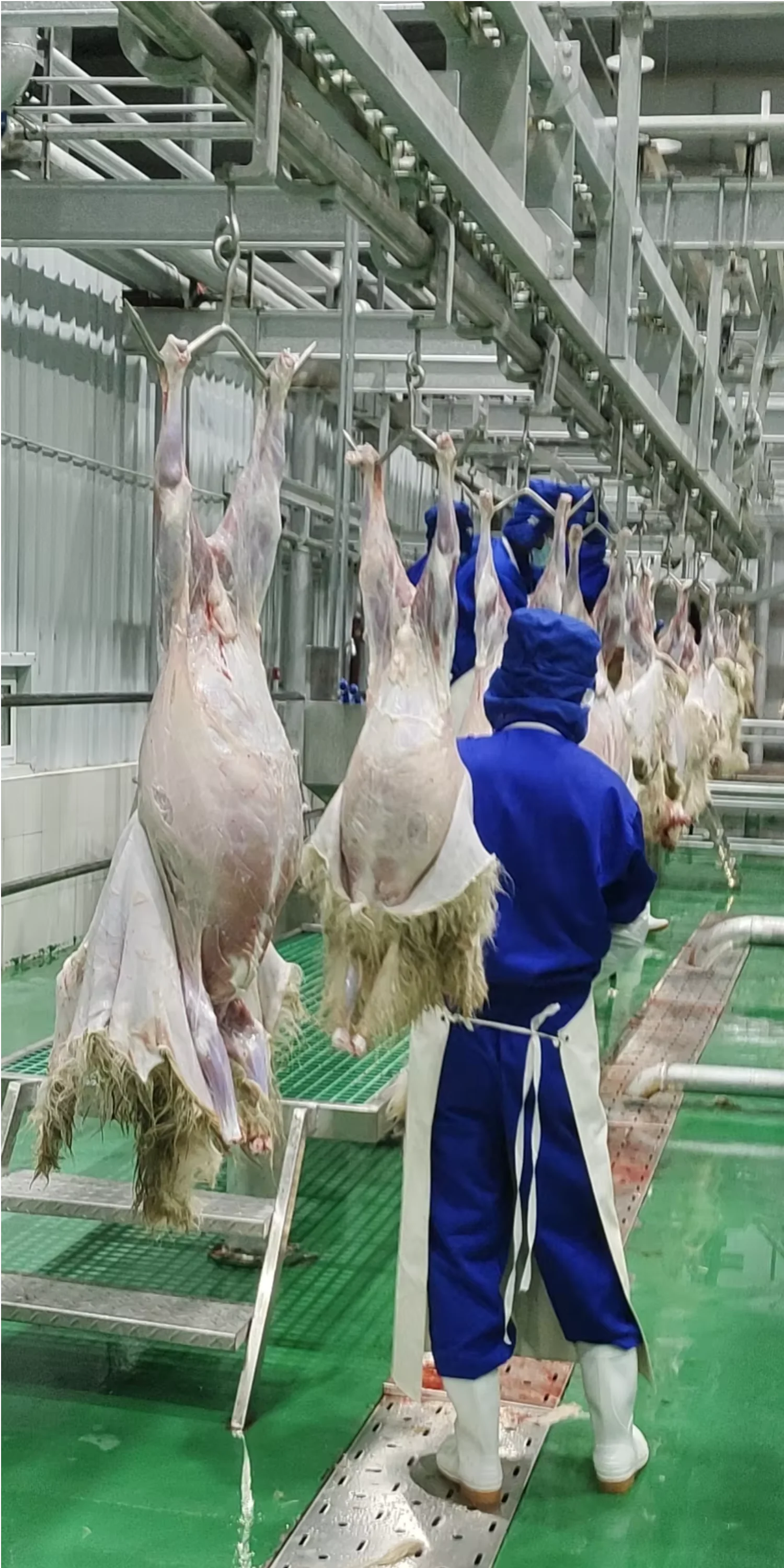 Automatic Halal Sheep Slaughtering Line Complete Goat Abattoir Machine Industrial Sheep Hair RemoveMachine for Meat Plant