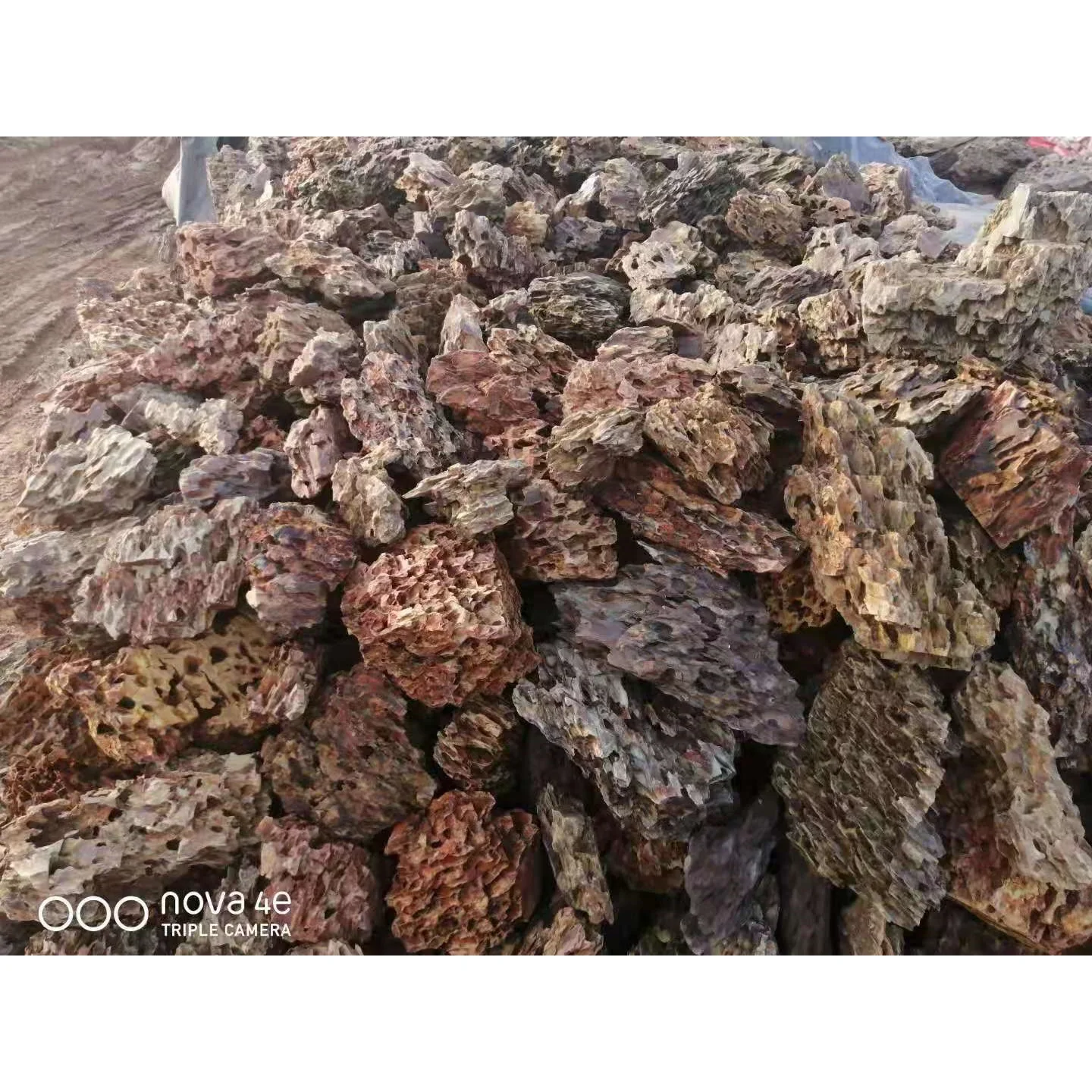 

Dragon Stone Aquascape Dragon Rock Stone