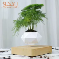 

Floating bonsai magnetic levitation bonsai levitation air bonsai