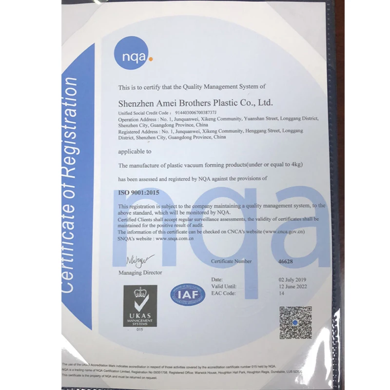 
2020 New Design Vacuum Forming Plastic Auto ABS Car Roof Box luggage For Storage 