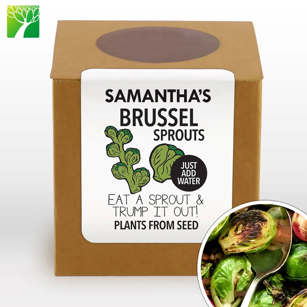 

UK USA Complete Grow Your Own Brussel Sprouts Plant Kit for kitchen