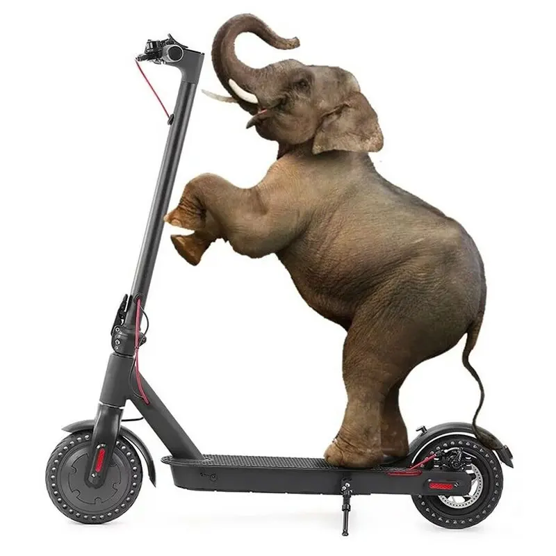 

Adult 350W 36V city foldable 8.5inch fast electric scooter with powerful lithium battery