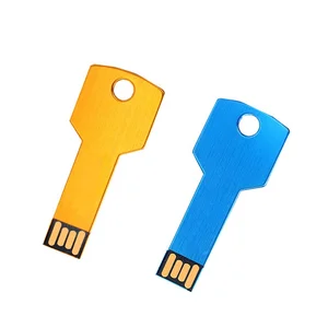 Key Shape Programmable USB Flash Drive