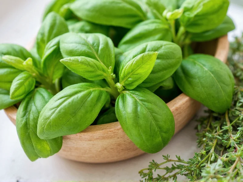 Basil vs Oregano: Key Differences and Culinary Uses