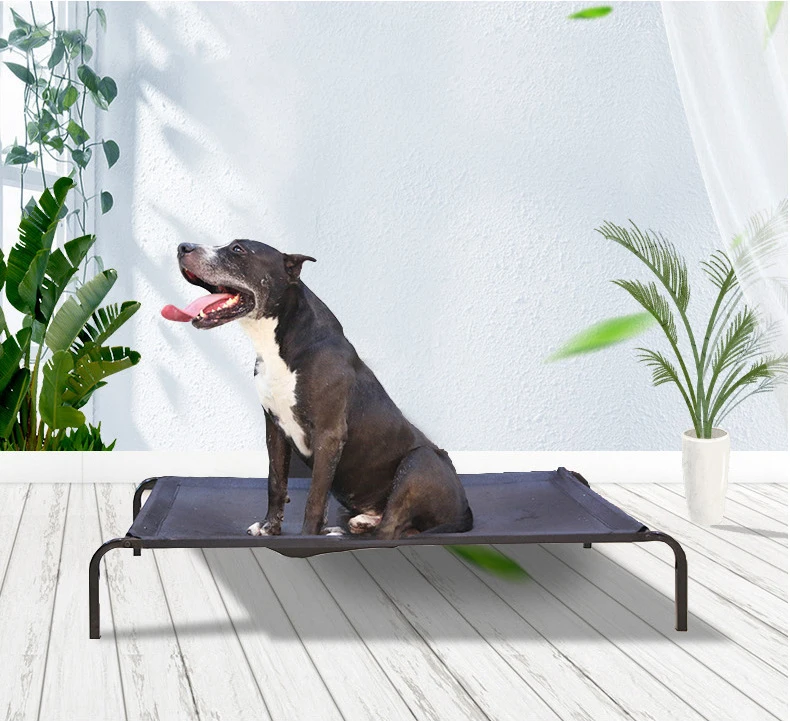 

Dog Bed Portable Cooling Pet Bed Nonskid Feet Durable Raised Cot Breathable Chew Proof Mesh Indoor Outdoor Use Large
