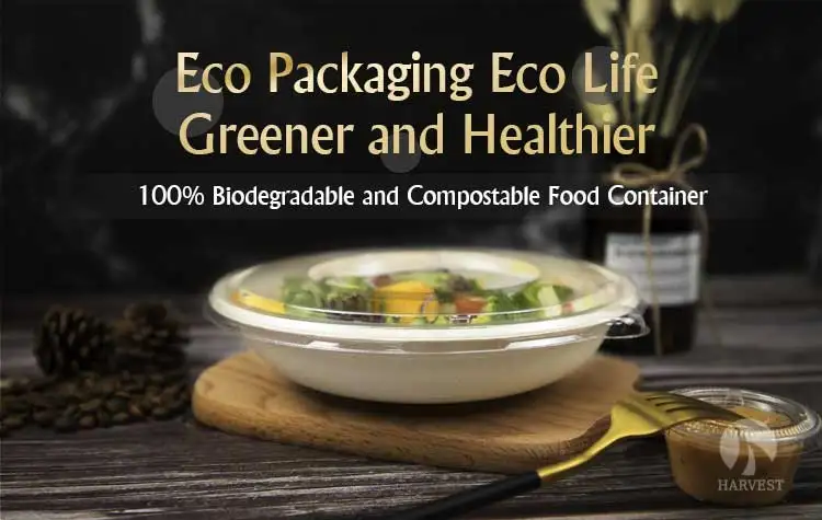 Biodegradable Unbleached Sugarcane Bagasse Bamboo Pulp Bowl - Buy ...