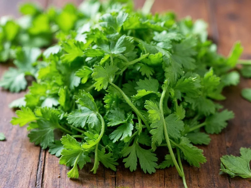 Cilantro for Parsley: When Substitution Works (and When It Doesn't)