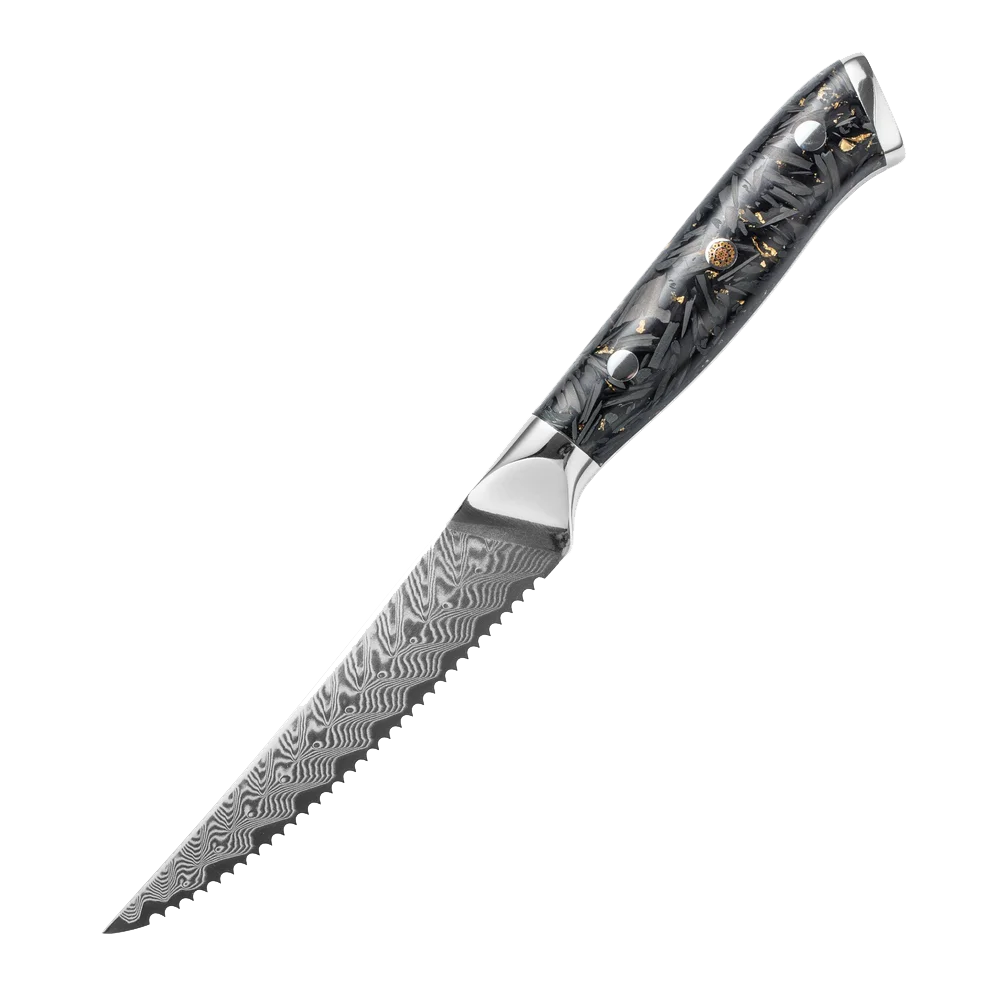 

4.5 inch Steak Knife Damascus Kitchen Knife 67 Layers Damascus Steel with Acrylic Handle Black