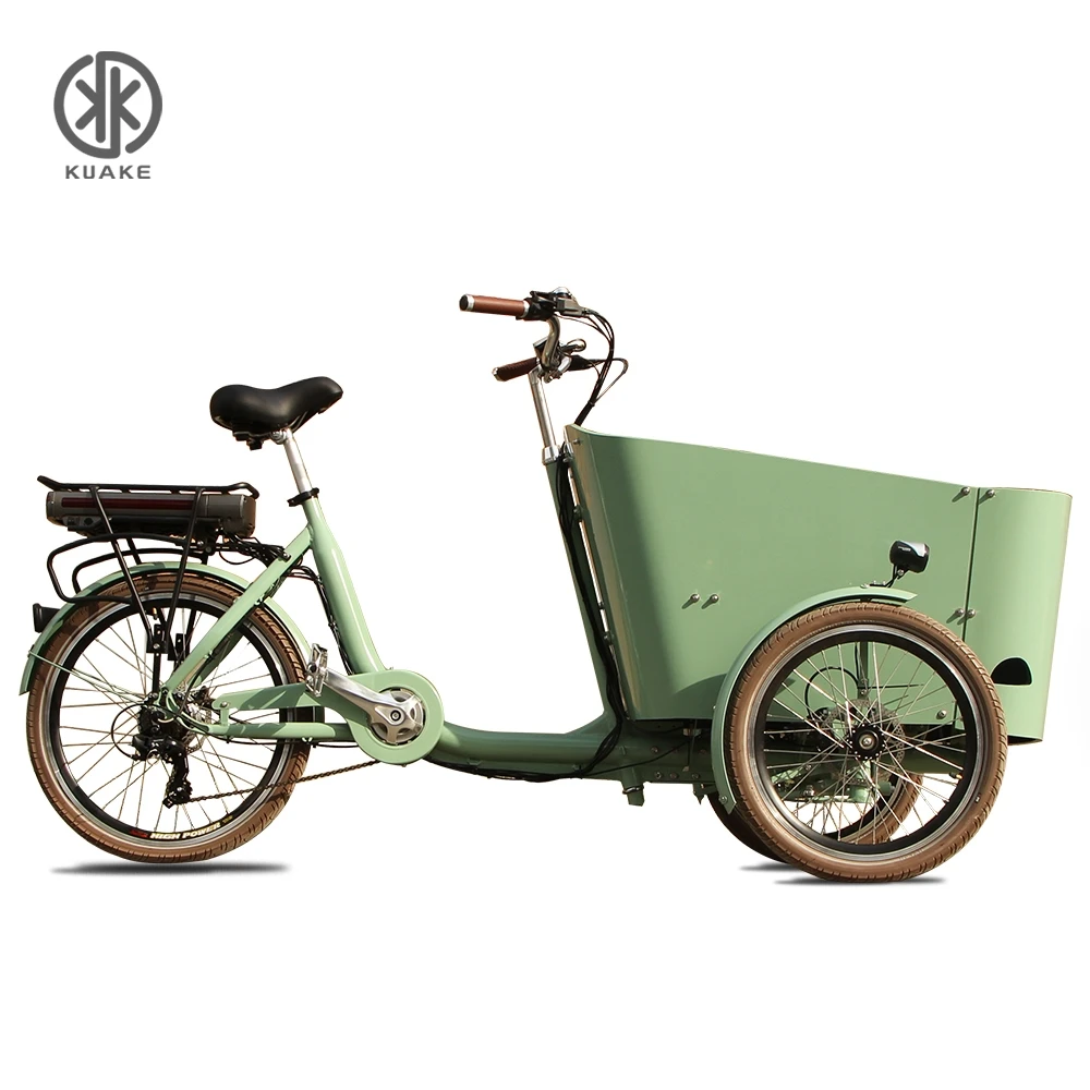 

KUAKE anti-dumping solution EU houseware 250W three wheel electric tricycle electric delivery tricycle 3 wheel ebike