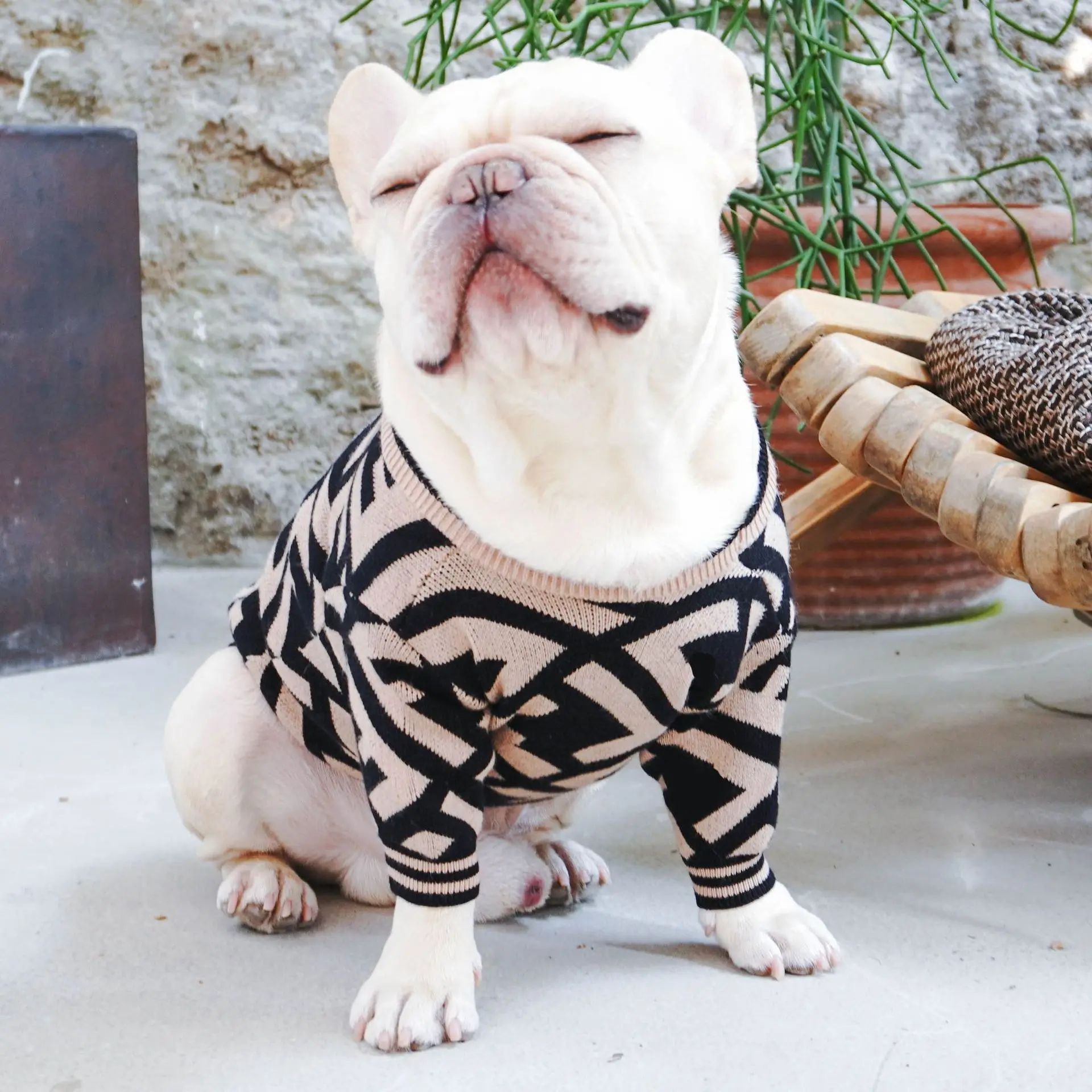 

Pet Dog Sweater Coats, Pet Knitwear Clothes For Small Medium Big Dogs, Gold