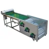 Cherry Processing Cherry Blueberry Ball Size Grading Sorting Machine
