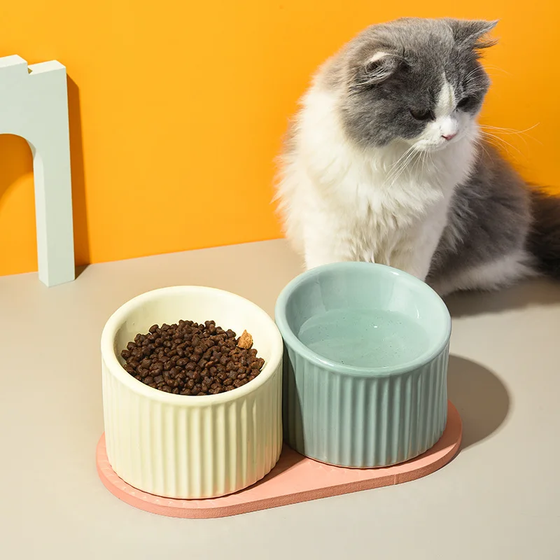 

10.5 angle beveled pet household 200ml 350 ml polished smooth ceramic slow feeder cat dog bowl