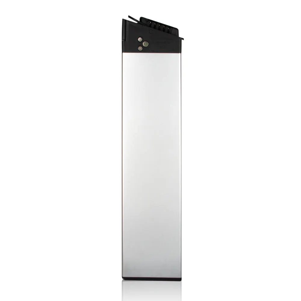 

SAMEBIKE-20LVXD30 battery electric bike battery