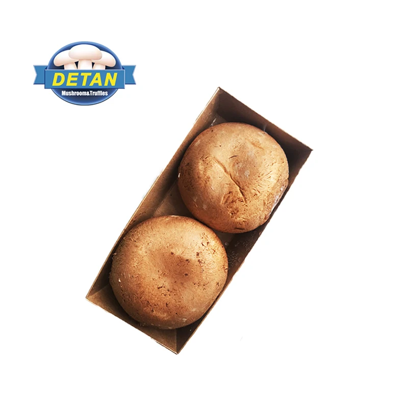 
Fresh Mushroomb Detan Portobello Mushroom 