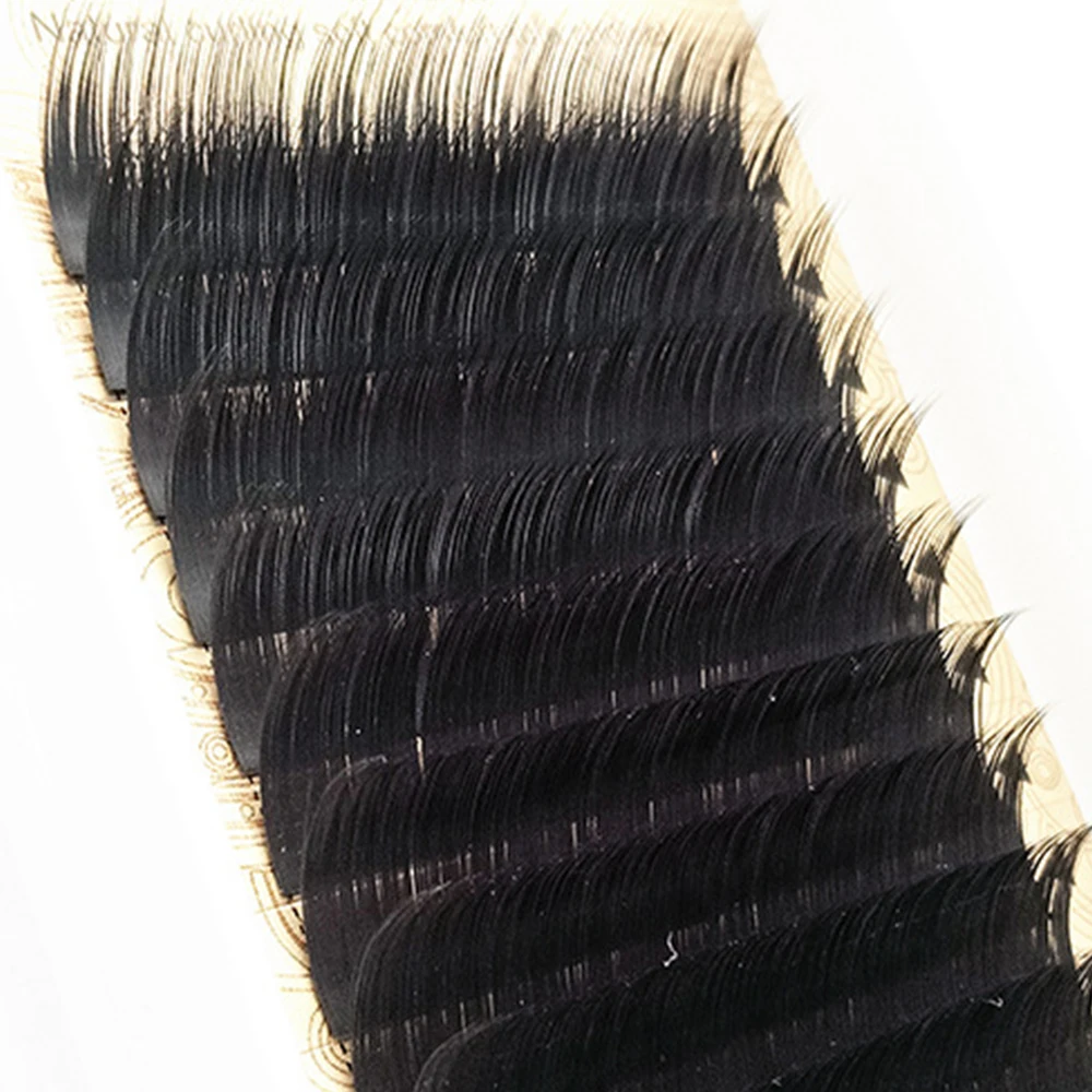 

Individual Silk Eye Lashes Private Label Manufacturer Camellia Eyelash Extensions, Natural black