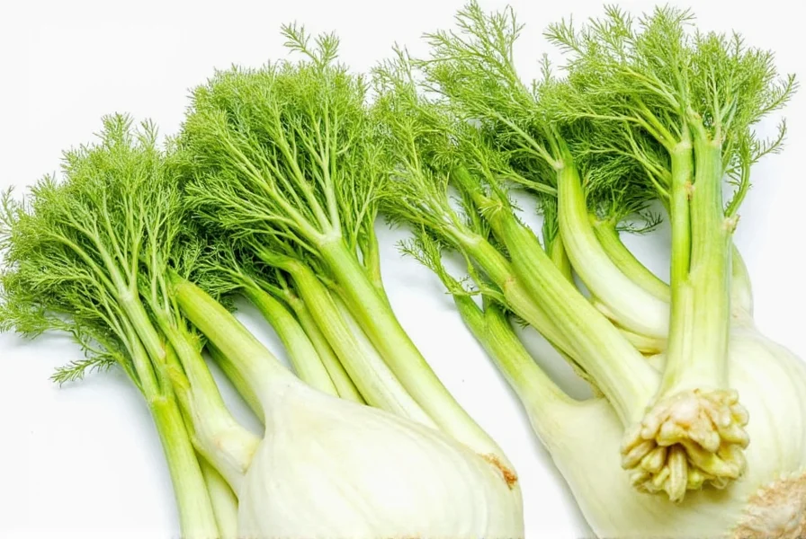 Bags of organic fennel seeds in different packaging