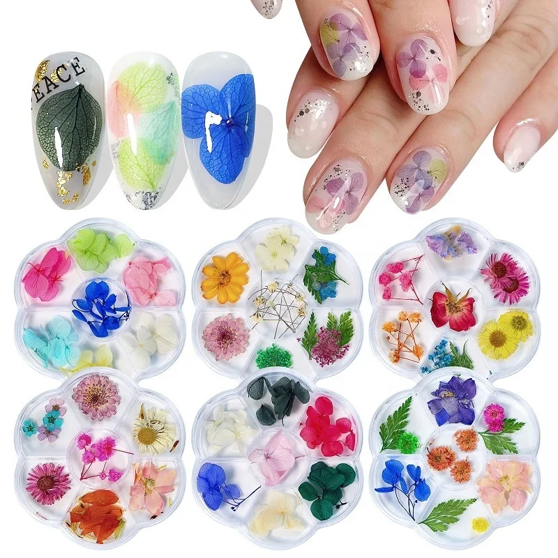 

Natural Dried Flowers Nail Art Decorations 3D Sun Flower Gypsophila DIY Design Manicure Accessories