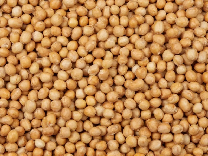 What Is a Lentil Bean? Clear Definition & Key Facts