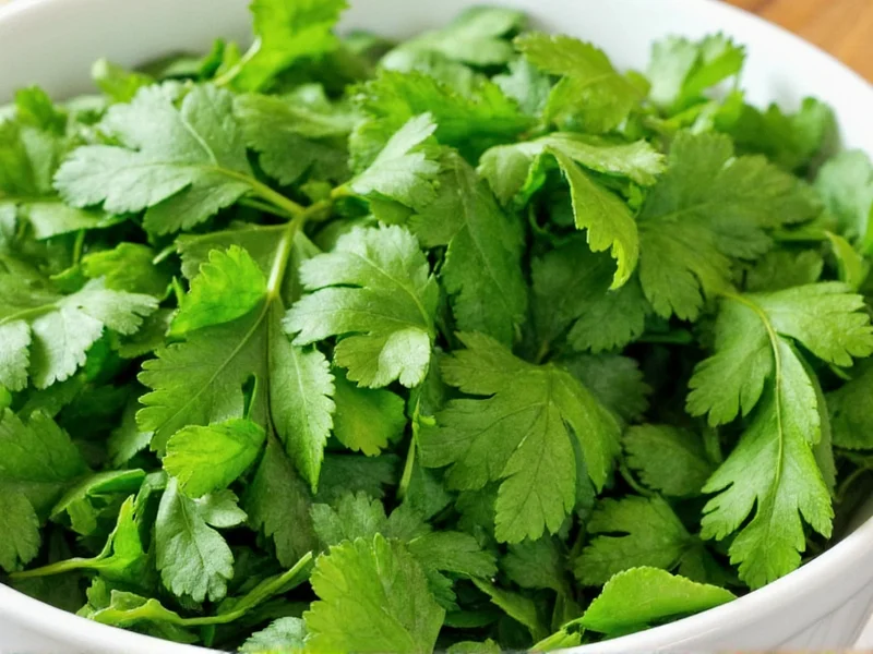 Cilantro vs Parsley: Key Differences Explained