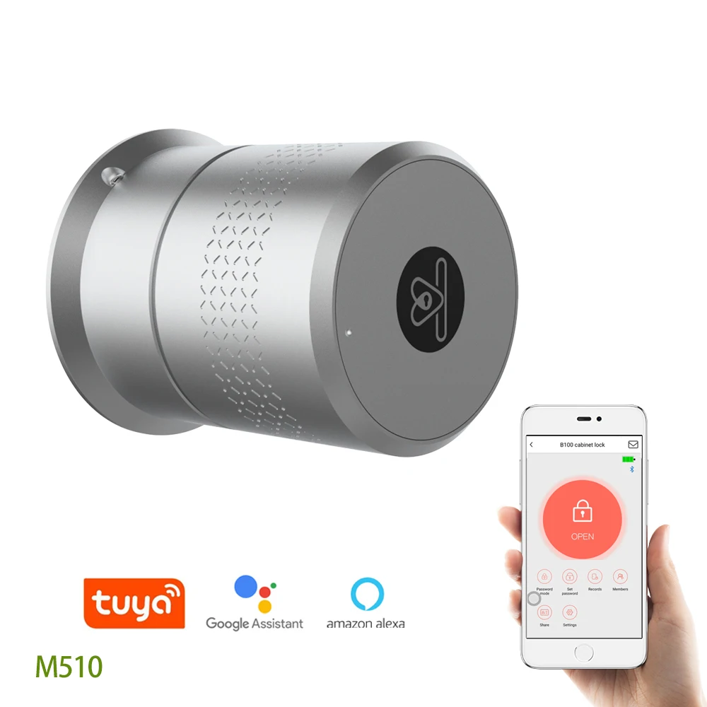 

M510 Smart Door Lock Electronic Deadbolt Tuya Smart Home System Smart Doorlock Alexa