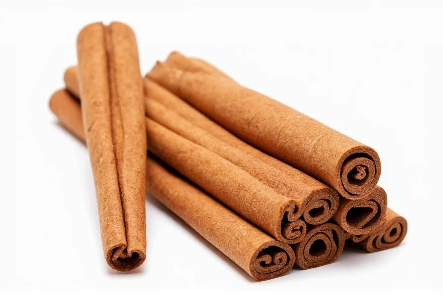 Comparison of Ceylon cinnamon sticks next to Cassia cinnamon showing the distinctive layered structure of Ceylon
