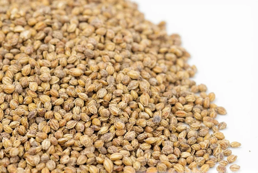 Buying Sweet Fennel Seeds
