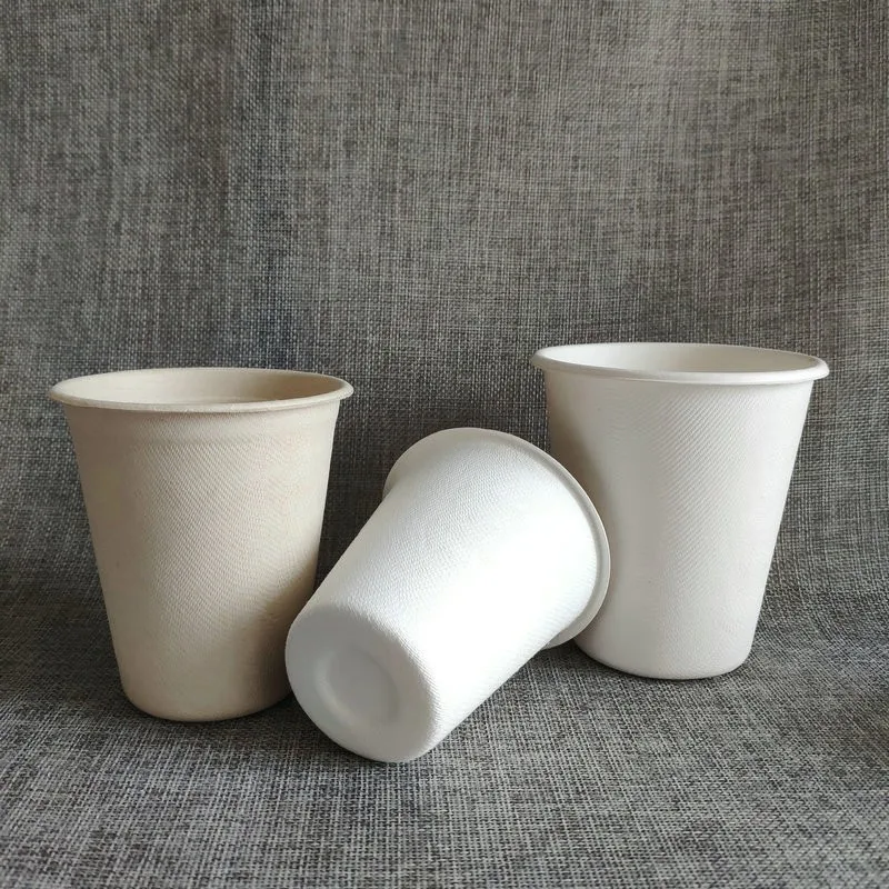 

China Factory Best Bagasse sugarcane coffee disposable cups for cafe and takeaway, Natural, white