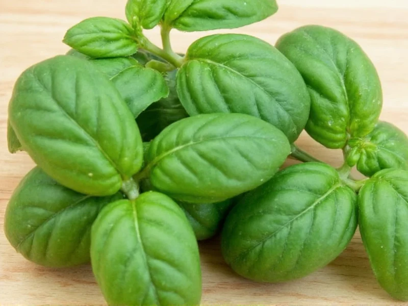 1/4 Cup Fresh Basil to Dried Basil Conversion: Exact Measurements